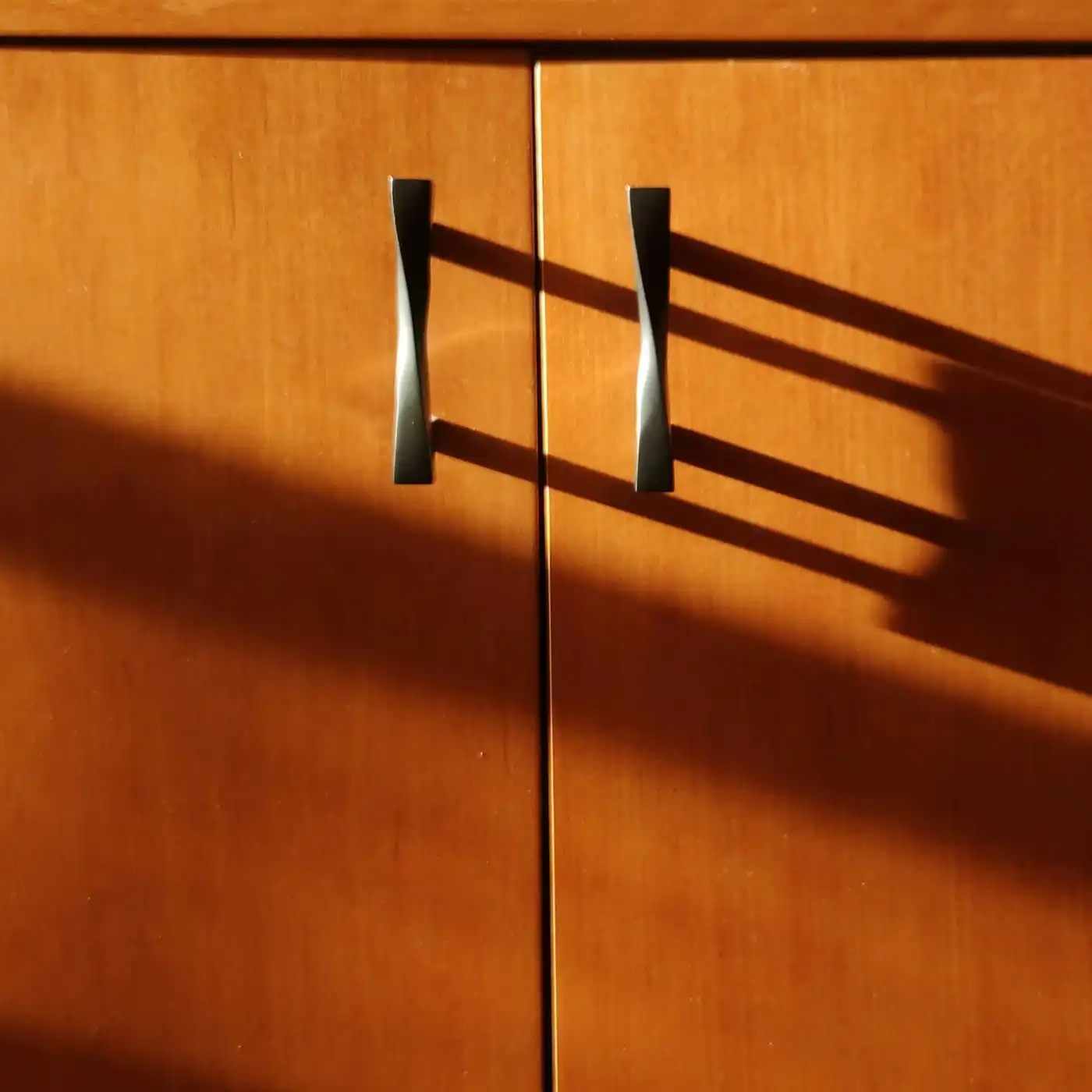 Timber cabinet shutters with slim metal handles in warm evening light